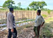 Dukung Program Pangan, Polres Lombok Barat Dorong Warga Bertani Mandiri