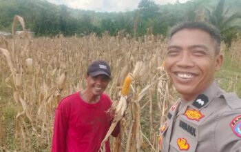 Polres Lombok Barat Aktif Dampingi Petani Tingkatkan Ketahanan Pangan
